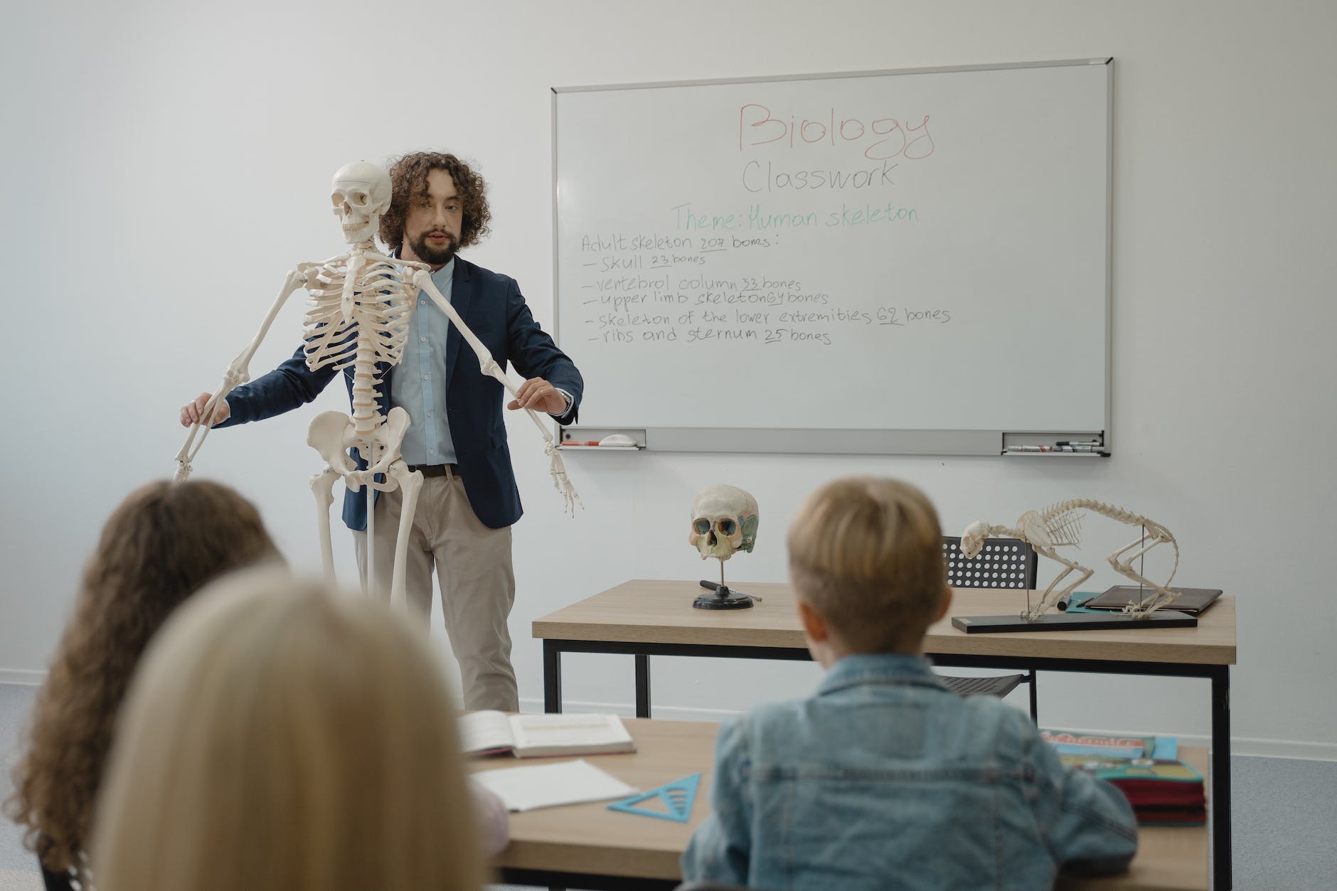 teacher teaching human anatomy