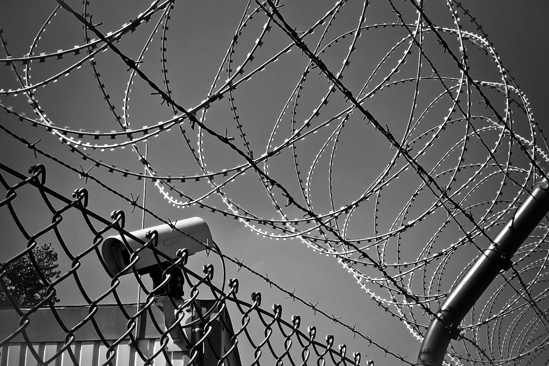 abstract barbed wire black white black and white
